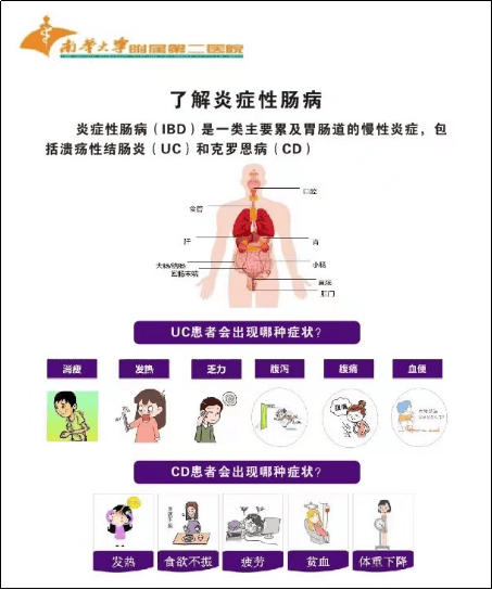 12.炎症性肠病饮食管理 消化内科 5.17163.png